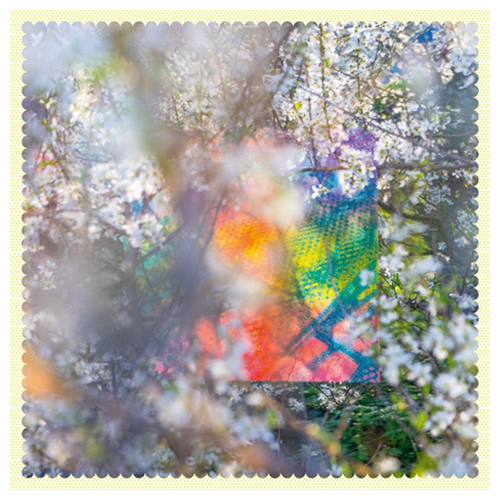 Ricky Music Ricky Music